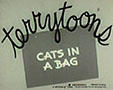 cats-bag