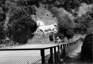 Andersons 1937 Golden Gate Park horse sculpture, photographed in 1959
