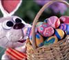 Rankin/Bass’ “Peter Cottontail” – 50 Years of Yestermorrows